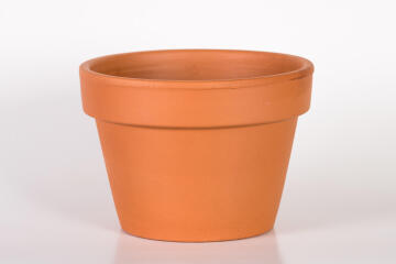 Pot, Terracotta Pot, Azalea, 23cm