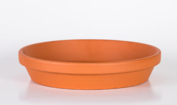 Saucer, Terracotta Drip Tray, 14cm