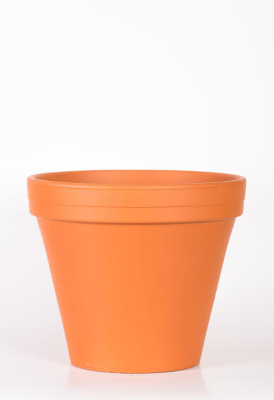 Pot Terracotta Pot Standard 10cm