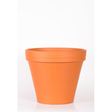 Pot Terracotta Pot Standard 10cm