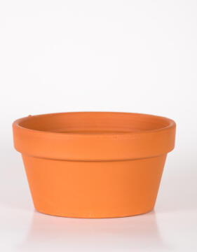 Pot, Terracotta Bowl, 15cm