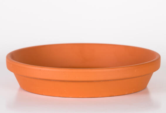 Saucer, Terracotta Drip Tray, 16cm