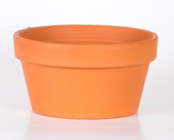 POT TERRA COTTA BOWL 25CM