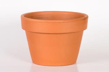 Pot, Terracotta Pot, Azalea, 19cm