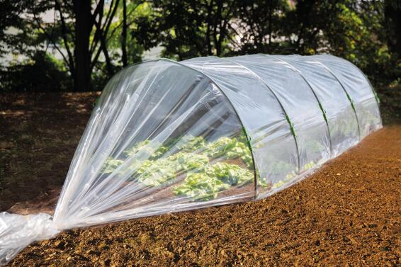 Greenhouse, Growing Film for Tunnel, GEOLIA, 2mx5m