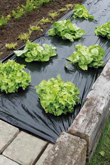 Geolia mulching film potager brown100micr1,4x10