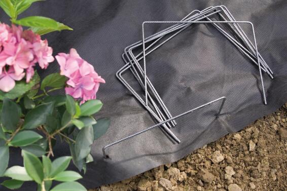 Geolia fixing staples metals 20pcs 250mmx200mm