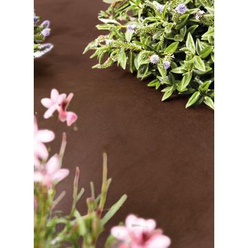Geolia non woven mulch fabric in roll 1,6mx10m
