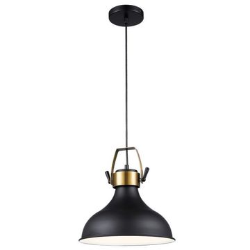 Pendant lighting Iron BRIGHTSTAR black E27 60W