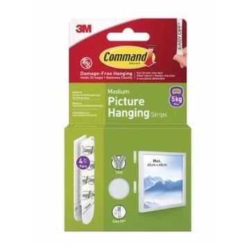 Command 4 picture hanging strips