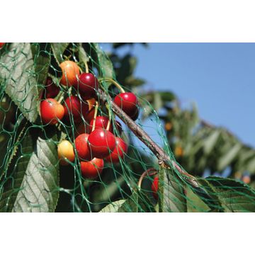 Bird Net, Bird Protection, 15mmx15mm aperture, GEOLIA, 5mx10m