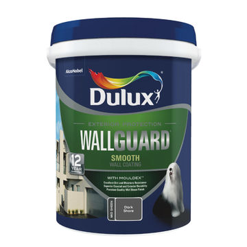 Wall paint exterior mid-sheen suede DULUX Wallguard dark shore 20l