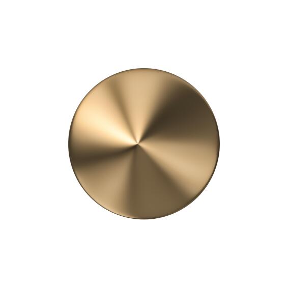 COVER FOR SCREW POINT BRASS POLISHED 4P
