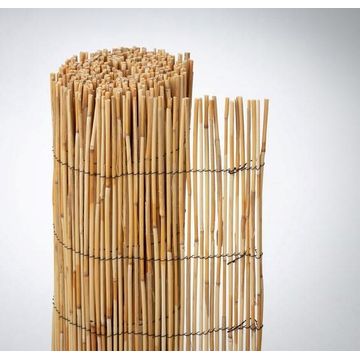 Fence Reed Cane Lowest Price 75% 2 m X 3 m