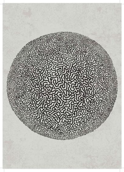 Wall art print coral 3 a4