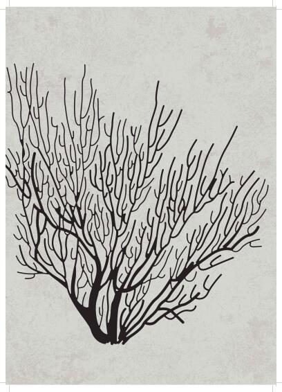 Wall art print coral 1 A4