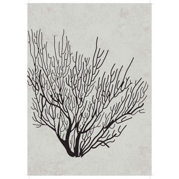 Wall art print coral 1 A4