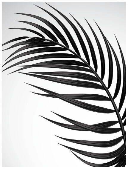 Wall art print b&w leaf 1 30x40cm