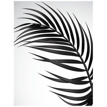 Wall art print b&w leaf 1 30x40cm