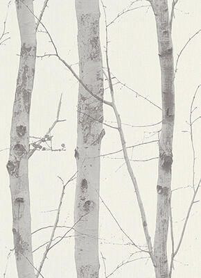 Wallpaper Non-Woven Birch Trunk 10.5x0.53m