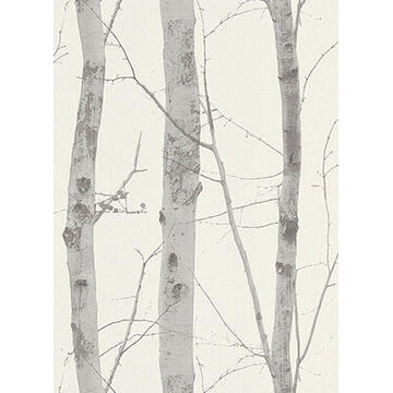 Wallpaper Non-Woven Birch Trunk 10.5x0.53m