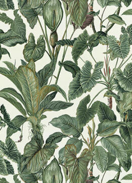 Wallpaper Non-Woven Jungle Leaf 10.5x0.53m
