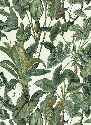 Wallpaper Non-Woven Jungle Leaf 10.5x0.53m