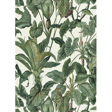 Wallpaper Non-Woven Jungle Leaf 10.5x0.53m
