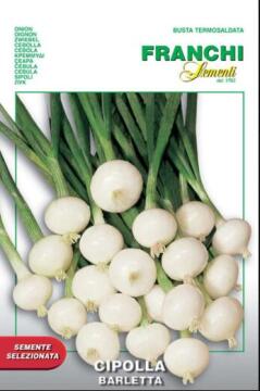 Seed, Onion Barletta, FRANCI SEMENTI