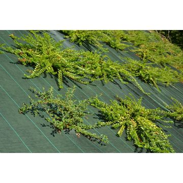 Geolia mulching woven fabric 90gram 1.5m x 20m