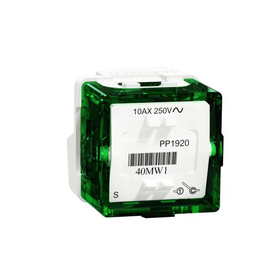 MECH SWITCH 1W 10AX 250V ICONIC