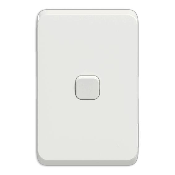 SWITCH 1L 2W WITH SKIN 10AX 250V ICONIC