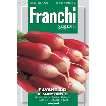 Seed, Radish, Flamboyant, FRANCHI SEMENTI