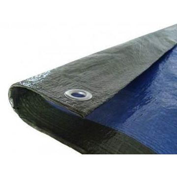 Tarpaulin Waterproof Cover 4x5m Green/Blue