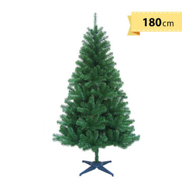 Christmas Tree Colorado 180cm High