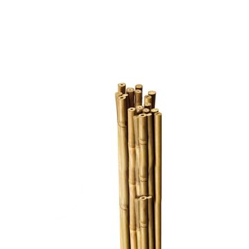 TUTOBAMBU BAMBOO STAKE 180CM 12-14MM 1PK