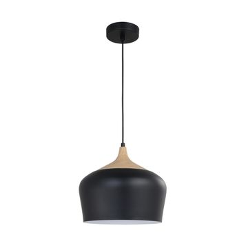 Inspire iron pendant light black e27 60w