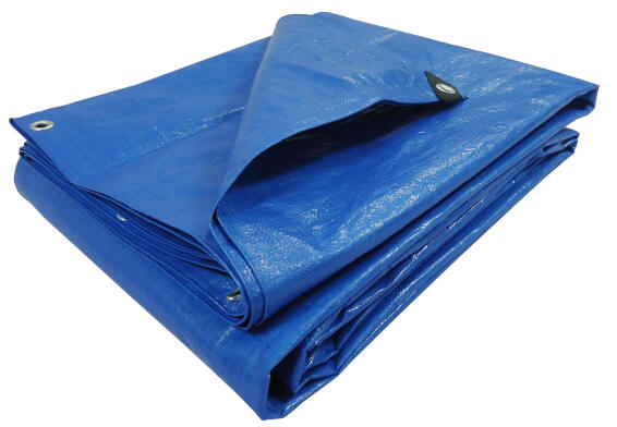 Tarpaulin Waterproof Cover 5x4m Blue