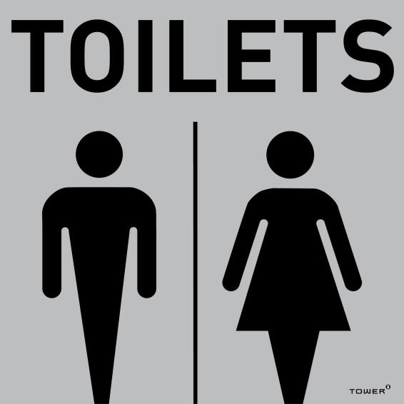 Unisex toilet sign aluminium anodised tower 150x150mm | LEROY MERLIN ...