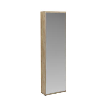 Cabinet for shoes with door mirror