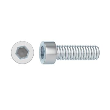 Magnetic Wall Pin Set (1 magnet, plastic rosette, rawlplug and screw)