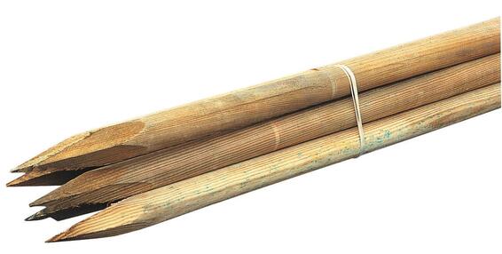 Pack of 6 Stakes for tomatoes 27x1500mm