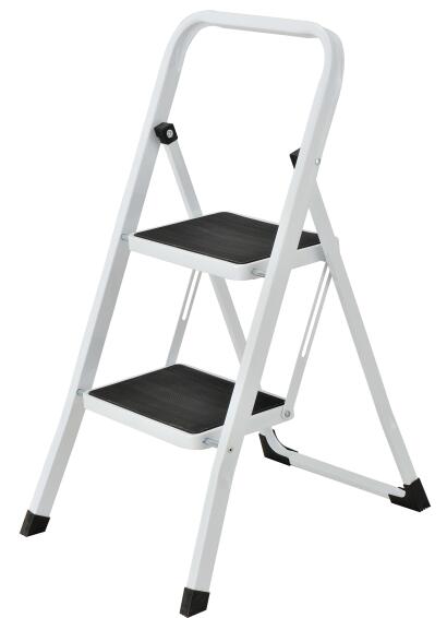2 Step Ladder 