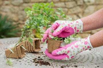 Planting gloves woman's Water-resistant 4-6 years