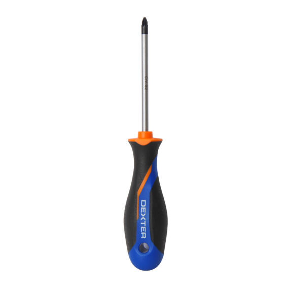 Screwdriver DEXTER PZ2x100mm